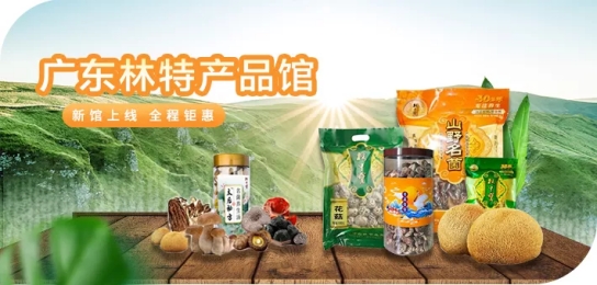 久实林下生态产品包装销售 林下药材干货与林下鸡蛋 助农增收画面