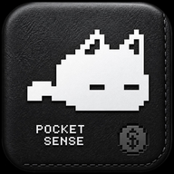 Pocket Sense