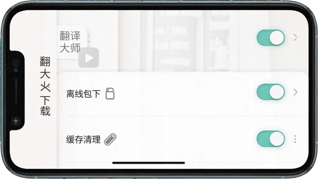 主体为翻译大师应用设置页面手机截图,布局为纵向列表式排版,排版包含权限管理、离线包下载、缓存清理等选项条目,风格为浅色极简UI设计,细节带有“翻译大师”顶部标题栏与开关控件,画质清晰干净无多余装饰