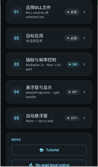 LSFG Android 安卓版 操作界面截图
