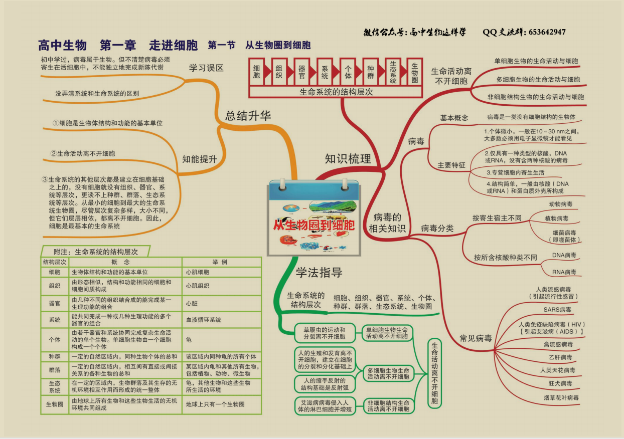 高中生物 安卓版 思维导图 功能截图