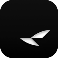 RayNeo AI