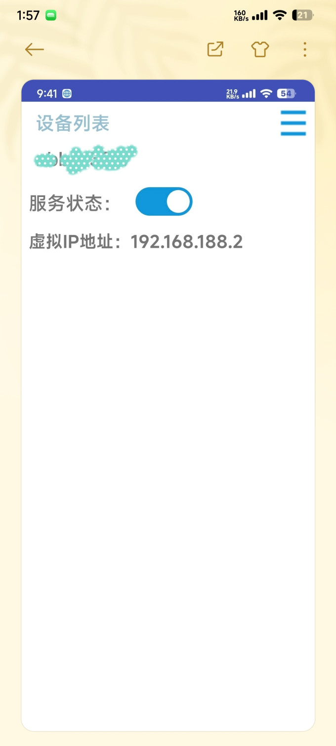 星空组网 安卓版 教程