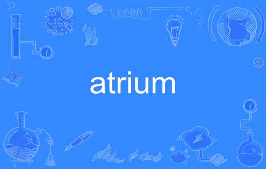 Atrium 安卓版 操作界面