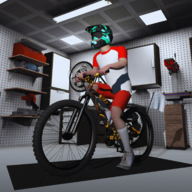 极限自行车骑手3DHardcore Biker
