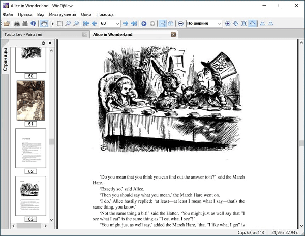 WinDjView2.1.0 ������DjVu�Ķ���
