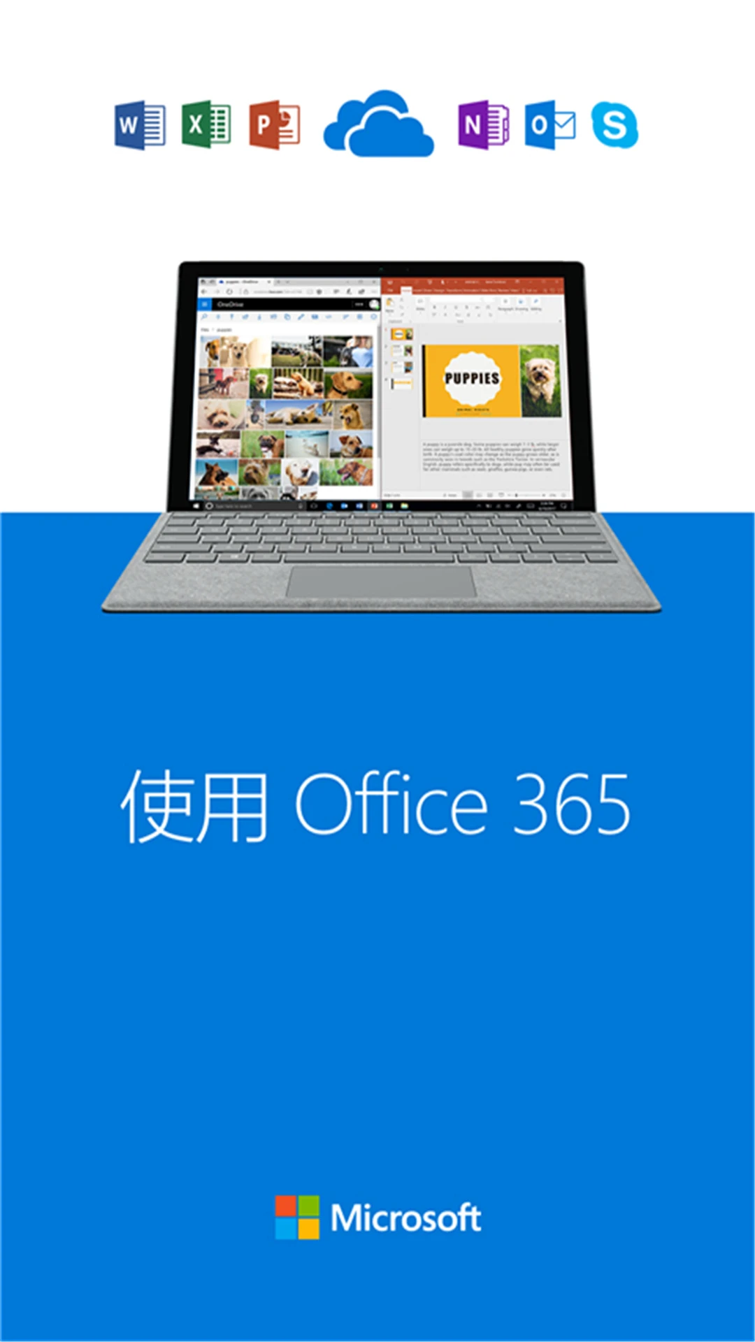 SkyDrive1.0.0 �ƴ洢ͬ������