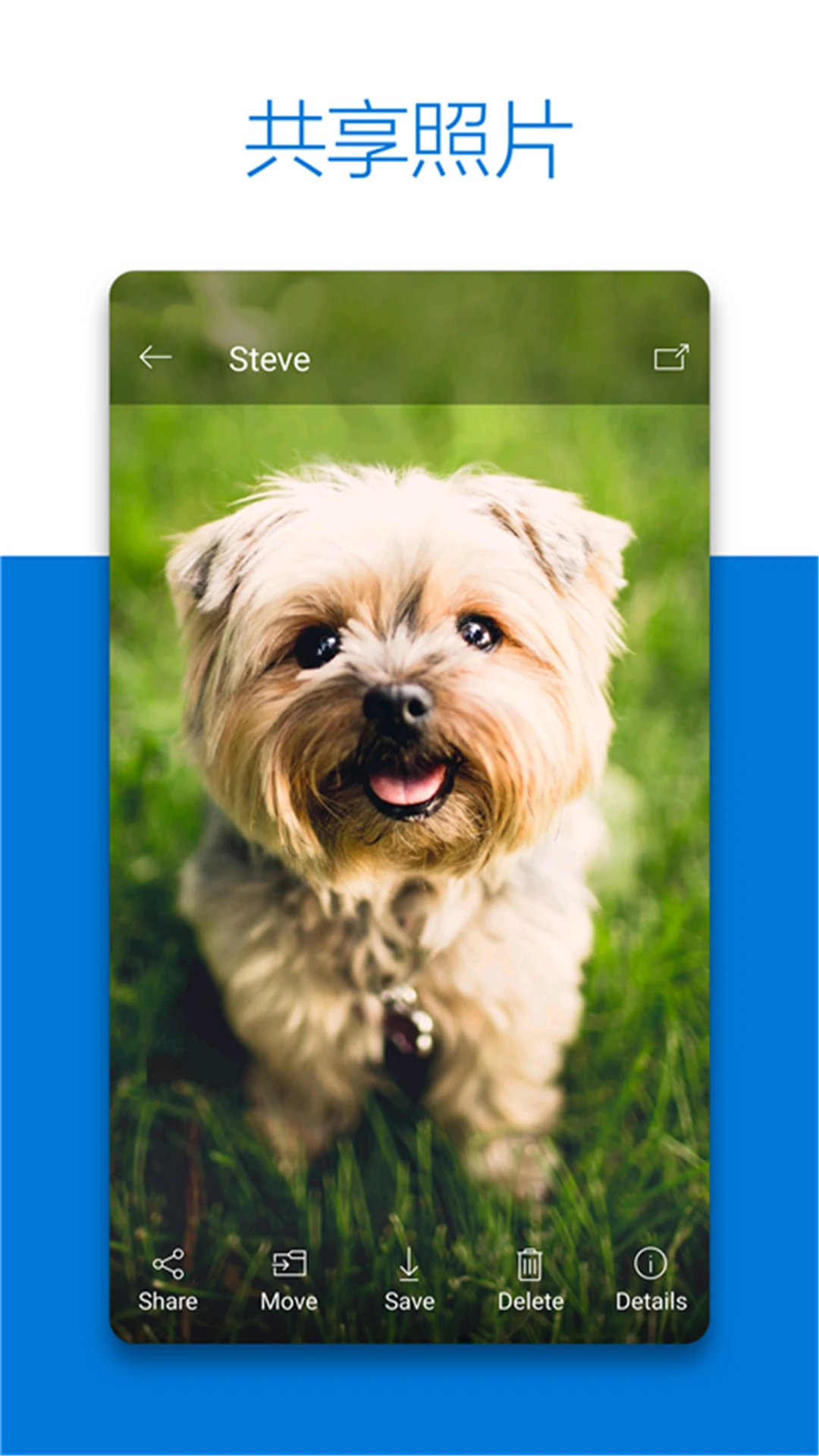 SkyDrive1.0.0 �ƴ洢ͬ������