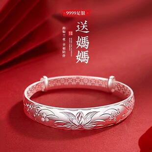 姨姆嫂 银镯子 平安 看望 晚年