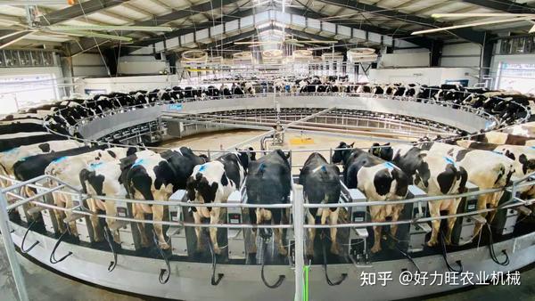 美国农业2Farming USA 2 奶牛养殖 挤奶 技巧