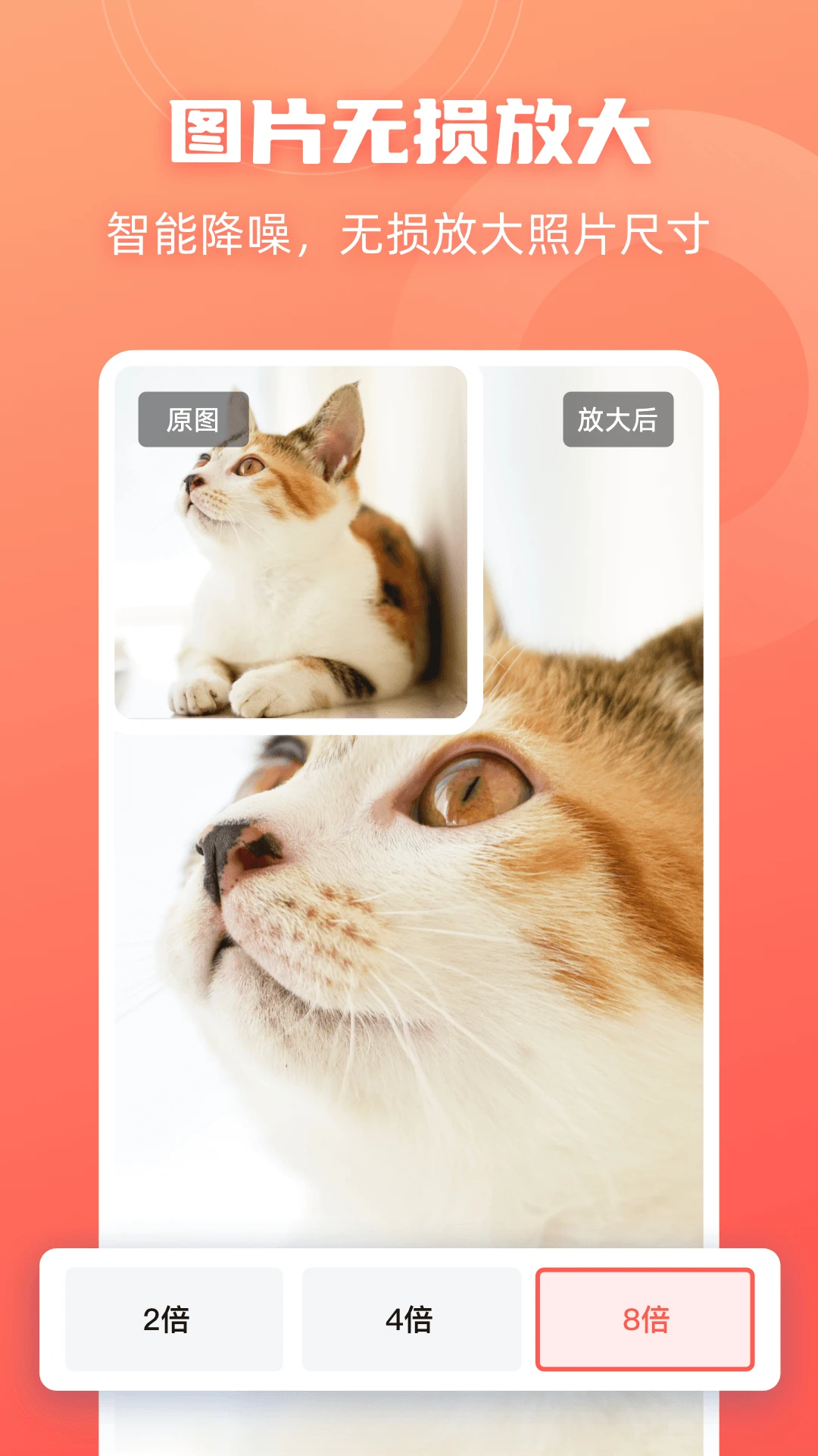 �˸�ʽ��ͼ��ʦ{package_version_name} һ�����ܿ�ͼ
