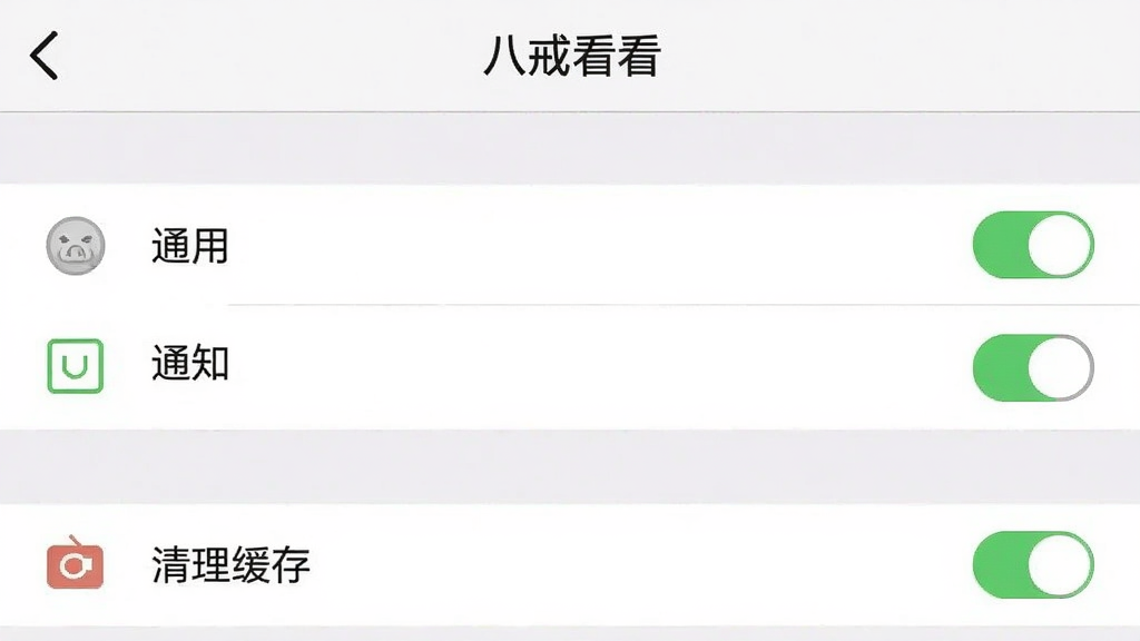一张手机截图,主体为“八戒看看”设置页面,显示通用、通知、清理缓存等选项,背景为白色,布局简洁,排版清晰,风格素雅,细节包括设置图标、开关按钮,画质干净无多余元素。