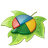 �þ������Ա�����װ��CSS��Ч����������