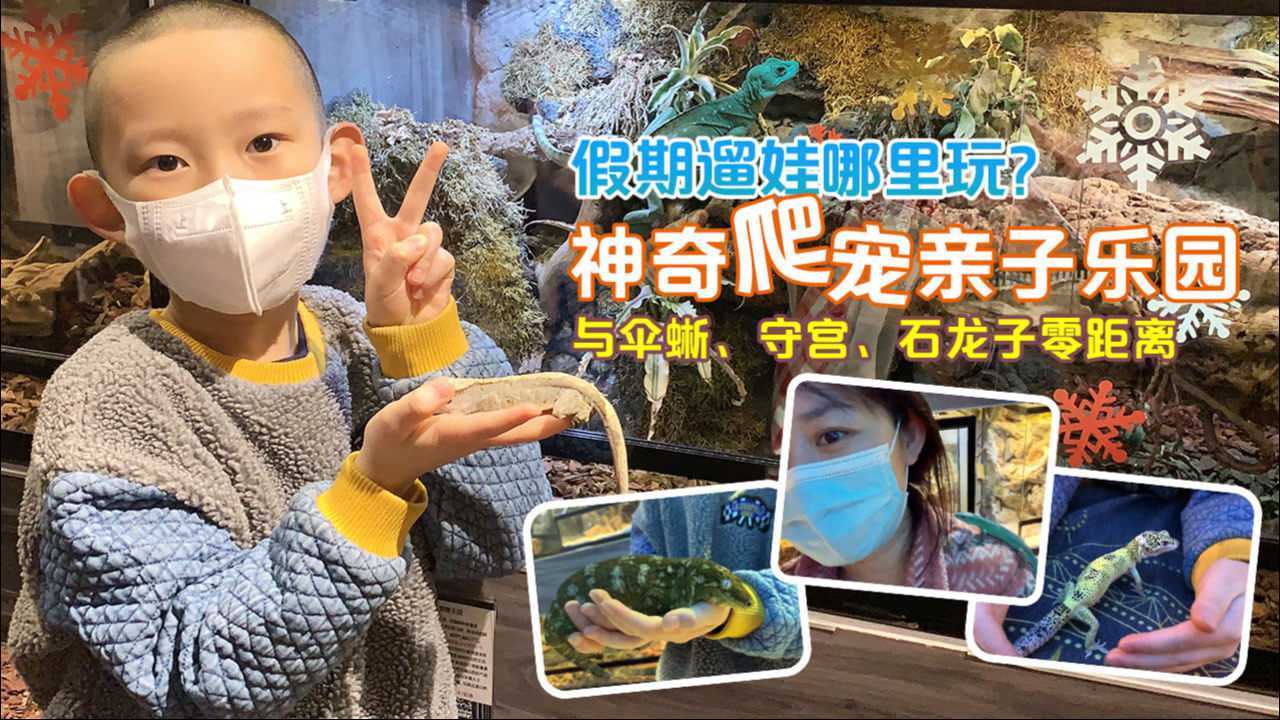 软萌宠物乐园 亲子打卡 攻略分享