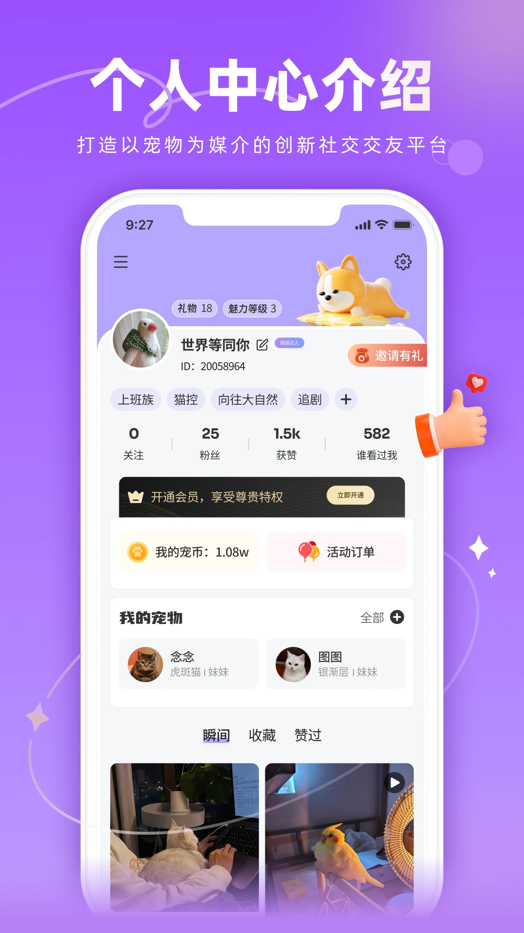 ��TAһ��1.3.5 �����������