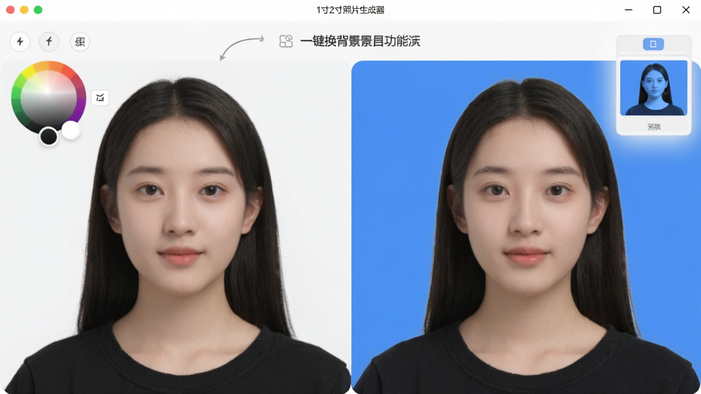 主体为