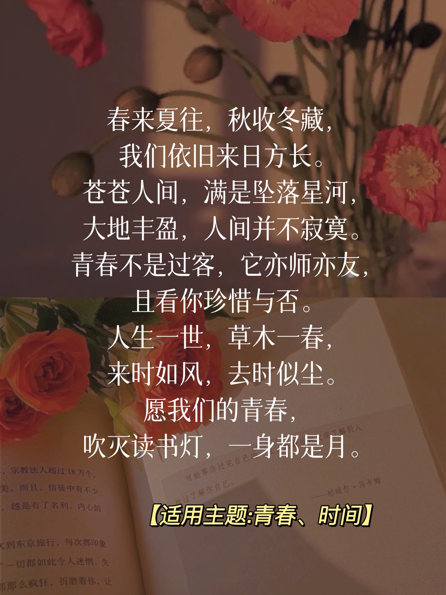 寻真 独处 治愈系文章结尾配图