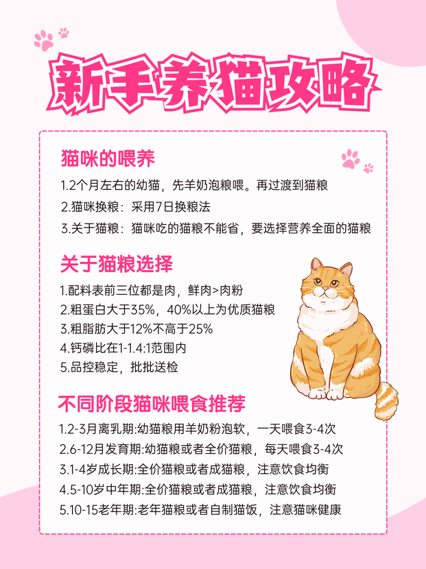 FireCat 猫咪性格 饲养经验 配图