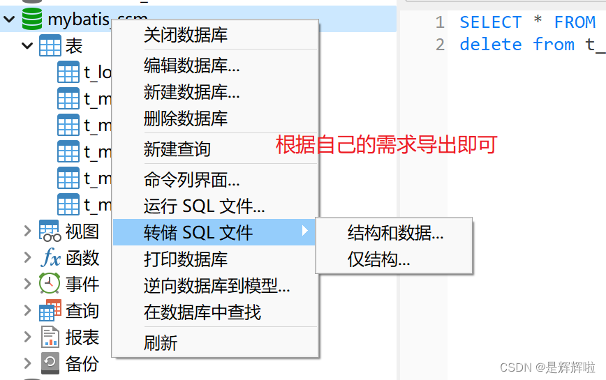 SQLiteManager数据库备份恢复方法