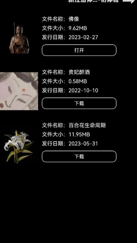 ZsPlayer 安卓版 界面操作
