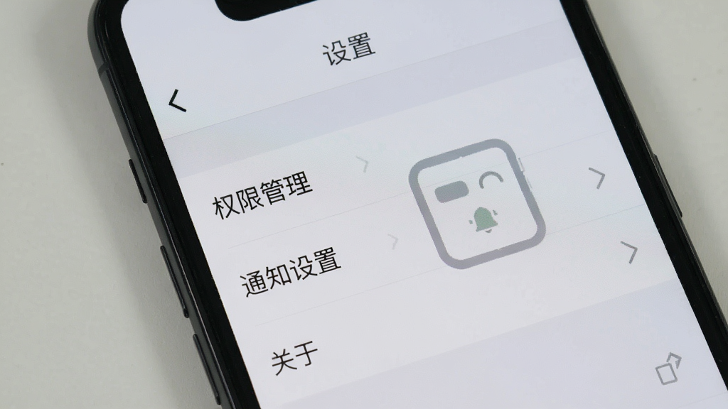 手机屏幕展示RIRO的设置页面,页面顶部有“设置”标题,下方为“权限管理”、“通知设置”、“关于”等选项列表,背景为浅灰色,整体简洁清晰,画质干净,无多余元素。