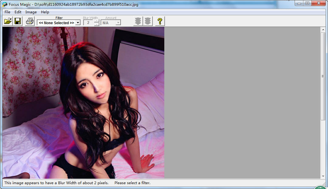 Focus Magic6.2.1 ͼ��������ǿ����