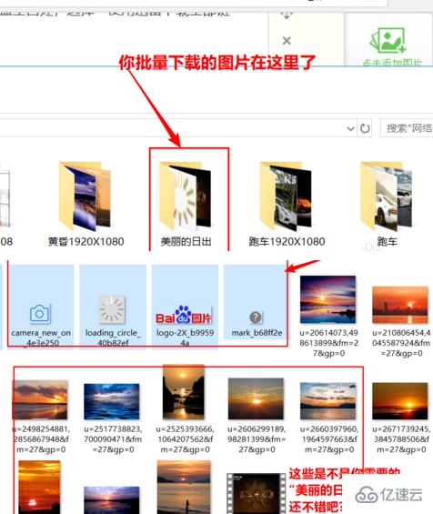 网页图片批量下载专家 安卓版 使用教程