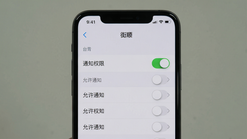 主体:手机屏幕显示街顺应用设置页面,有“通知权限”开关。布局:手机居中,设置项列表清晰。排版:开关按钮明显,背景为浅灰色。风格:系统截图风格。细节:开关处于开启状态,文字标注“允许通知”。画质:高清,干净,无多余元素。