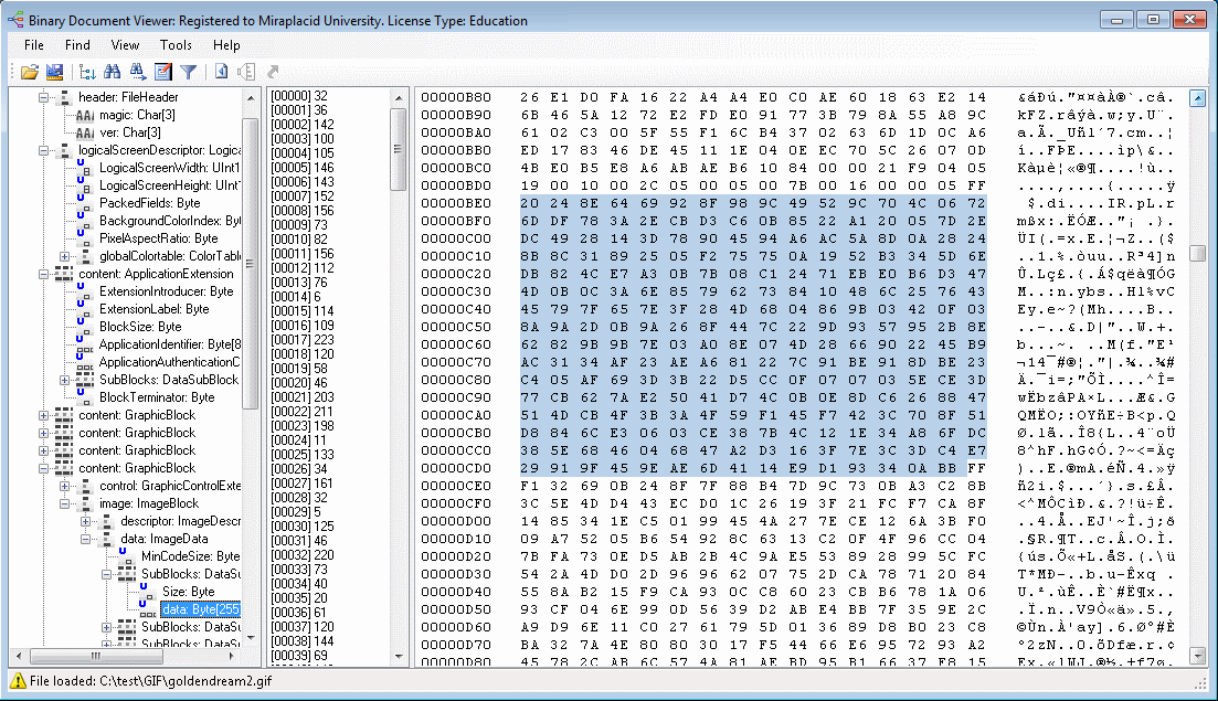 binary viewer 安卓版 界面