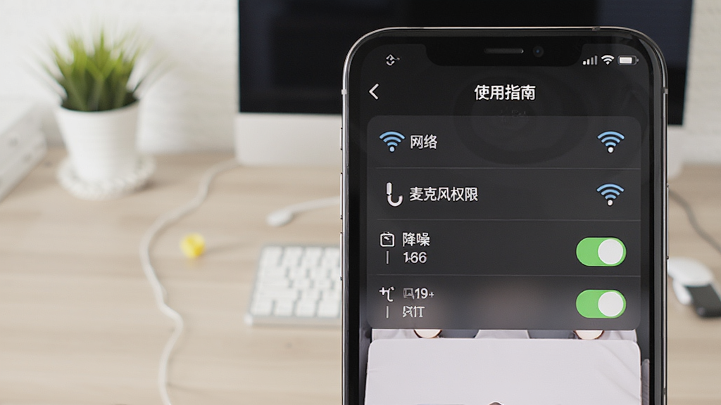 浣熊派对使用指南示意图,手机屏幕显示设置界面,包括网络、麦克风权限、降噪开关等选项,背景是简洁的桌面,画质清晰,无多余元素