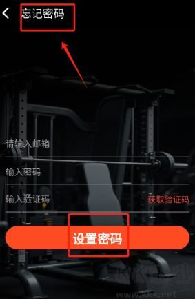 健身怪兽安卓版 训练计划界面