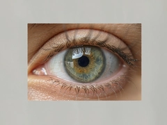 Image eyeͼ��ʶ���۾������ز�����
