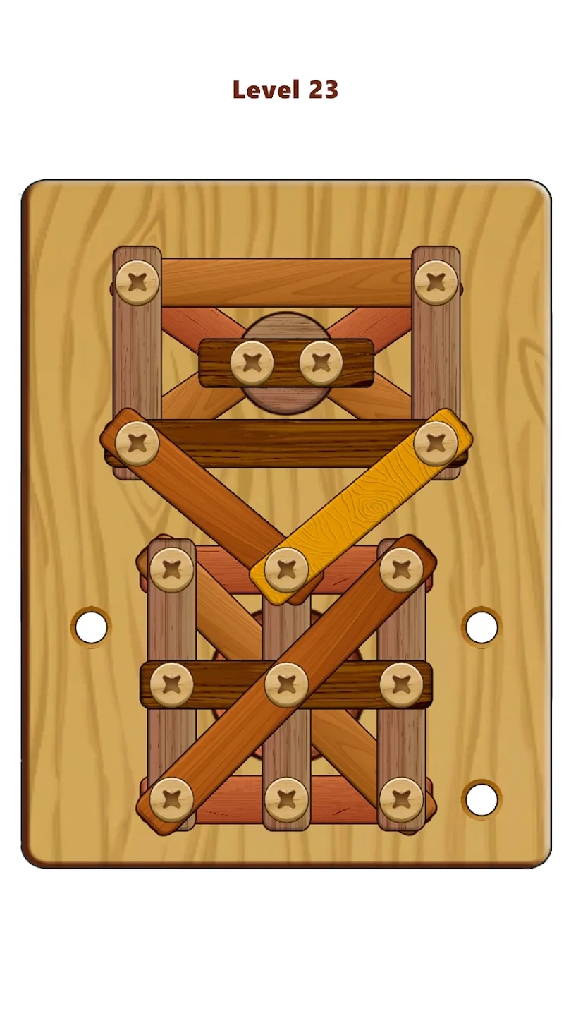 Wood Nuts & Bolts Puzzle 木质螺母螺栓解谜游戏截图