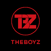 THE BOYZ Light Stick