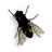 Fly on desktop�������