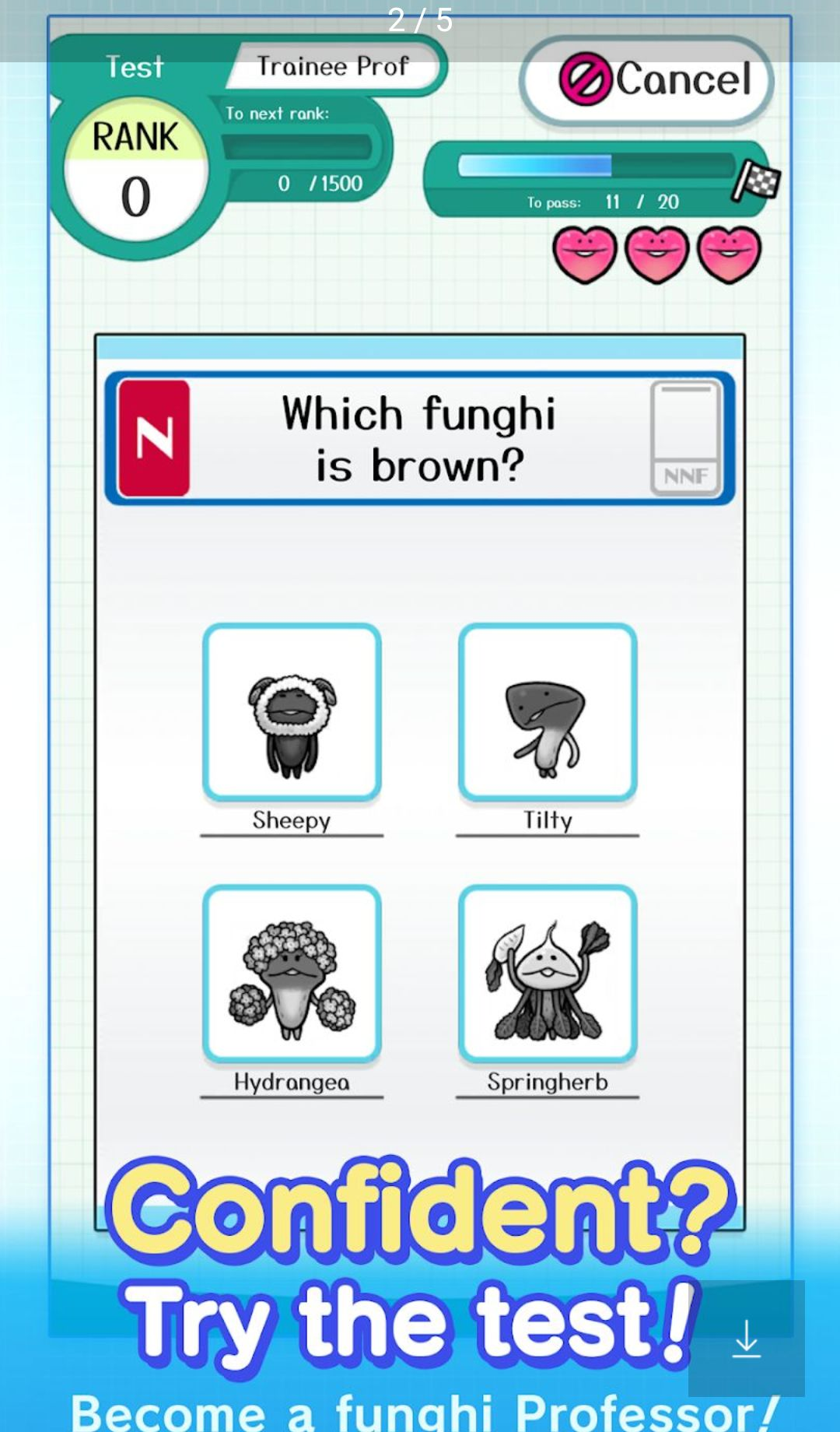 NamekoDrill1.0.8 Ȥζ����ѵ��