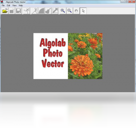 algolab photo vector 安卓版 下载