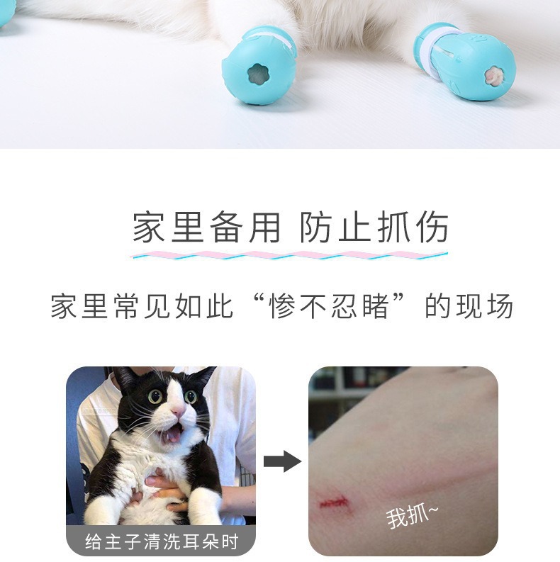 CareClaw护理爪套猫咪适应过程