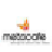 Metacafe��Ƶ������Metacafe Video Downloader