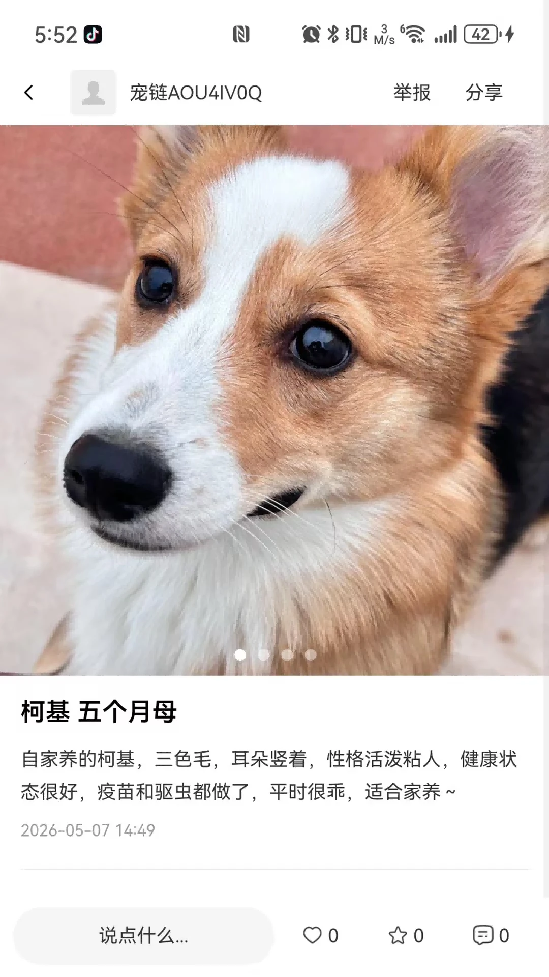 ����1.4.4 �����罻