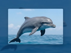 海豚框架DolphinFrame使用教程与技巧分享