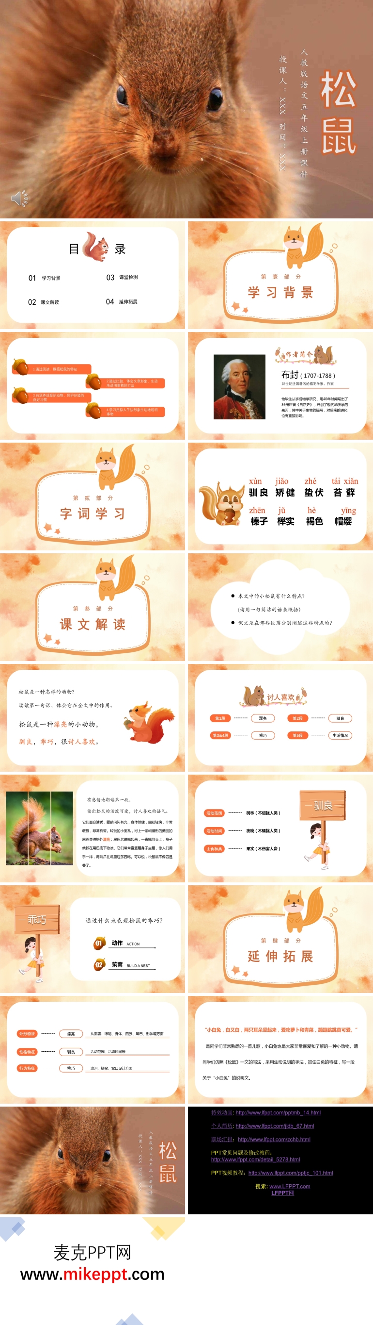 松鼠刷题小学题库大全资源界面介绍