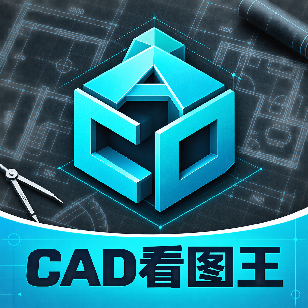 CADͼֽ��ͼ��