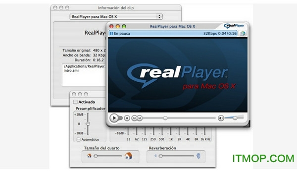 RealPlayer 播放器 设置 界面
