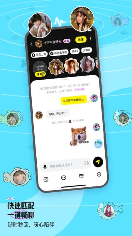 ���6.88.0 �����罻