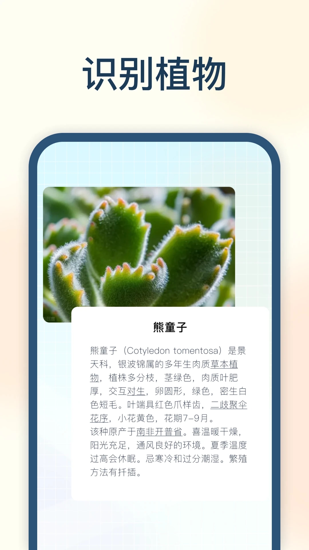 �Ծ���v3.2.0 2026 ���԰�