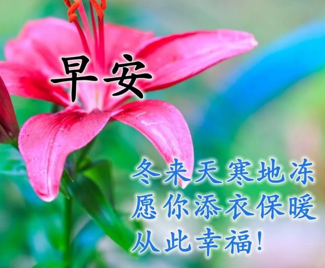 小真爱 日常 发现 暖心 感悟 配图