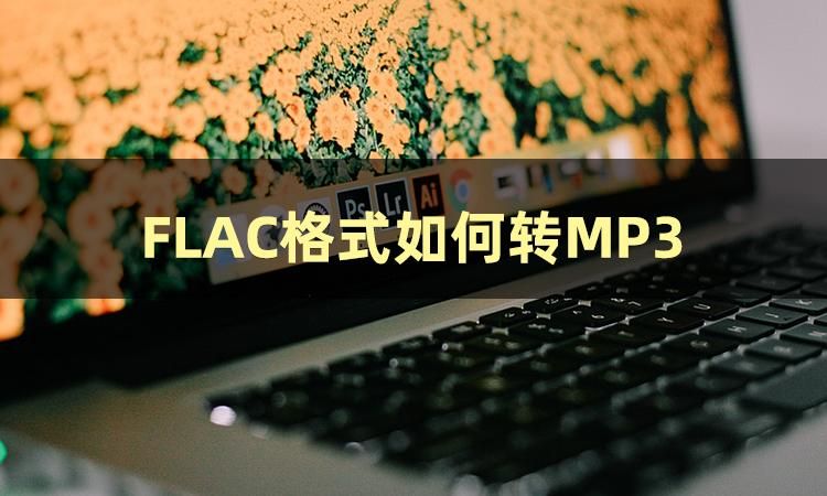 Flac编码器Flac Encoder转换技巧注意事项经验分享