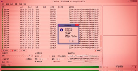 Caesium2.7.0 ͼƬѹ������
