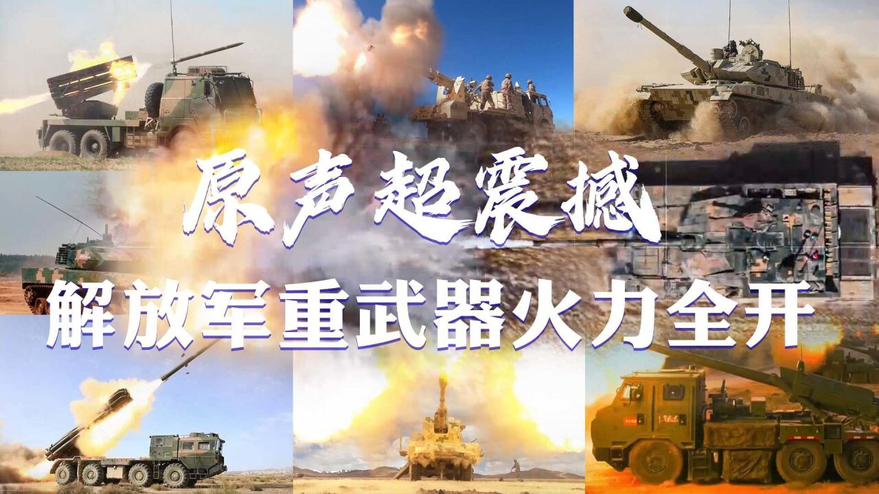 重火力 武器 图鉴 大全